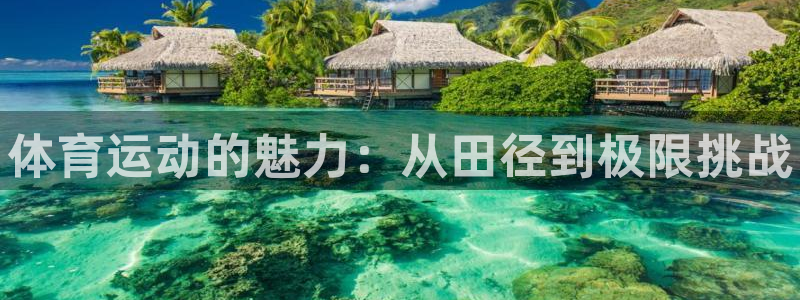 3377体育官网下载平台APP：体育运动的魅力：从田