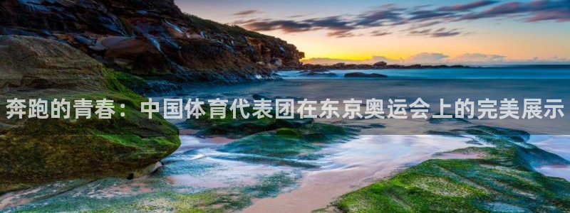 3377体育官网下载招商电话是多少啊：奔跑的青春：中