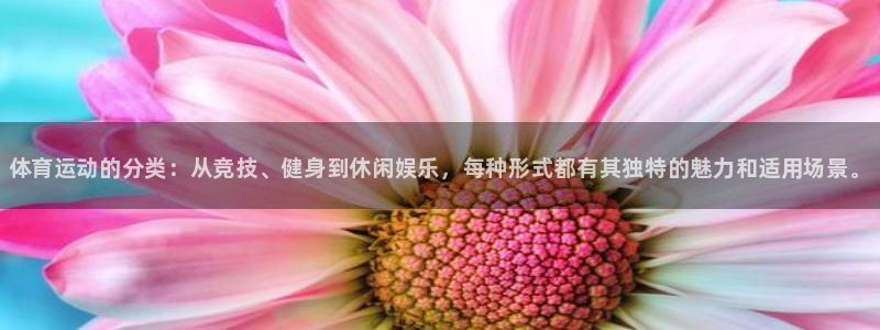3377体育官网下载招商电话号码是多少：体育运动的分