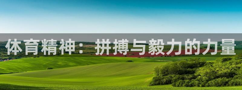 3377体育官方集团官网：体育精神：拼搏与毅力的力量