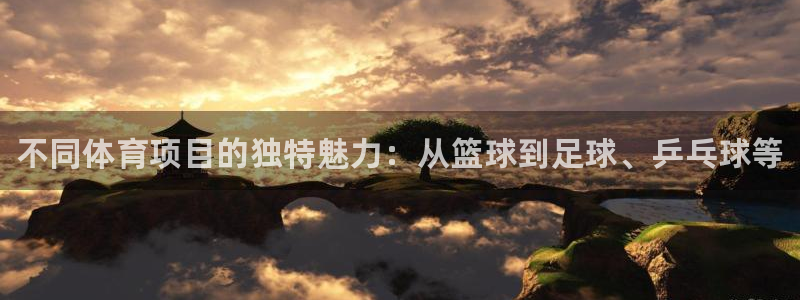 3377体育官网下载招商：不同体育项目的独特魅力：从