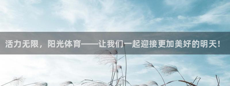 3377体育官方正版app神州：活力无限，阳光体育—