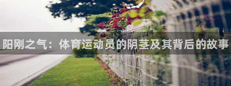3377体育官方正版app集团简介：阳刚之气：体育运