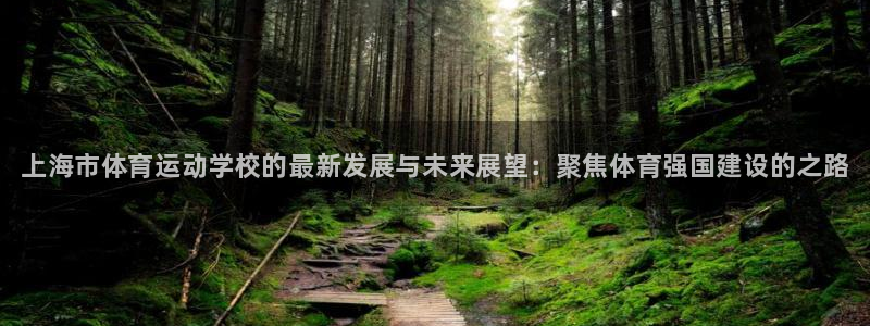 3377体育官网下载平台注册流程视频：上海市体育运动