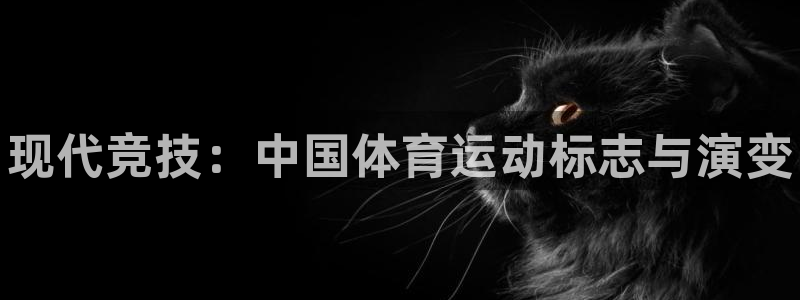 3377体育官网下载平台注册流程视频：现代竞技：中国