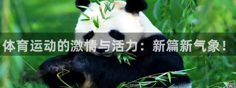 3377体育官方正版app官方：体育运动的激情与活力