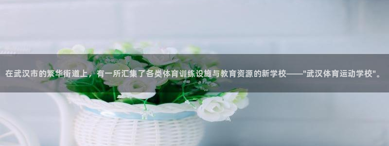 3377体育官方正版app集团logo：在武汉市的繁