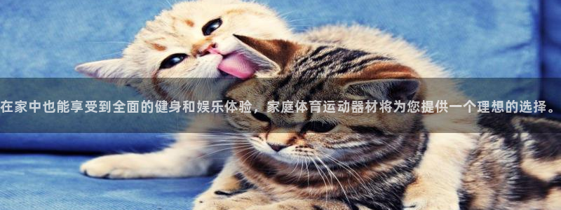 3377体育官网下载开户：在家中也能享受到全面的健身