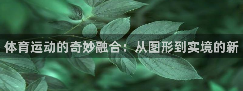 3377体育官方正版app娱乐首页官网下载：体育运动