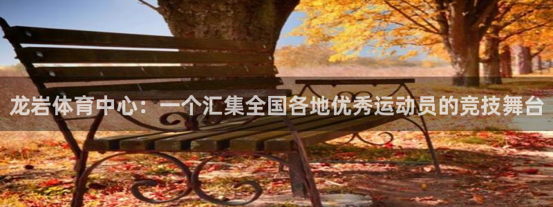 海南3377体育官网下载发展怎么样：龙岩体育中心：一
