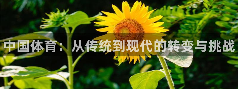3377体育官方正版app娱乐代理怎么样：中国体育：