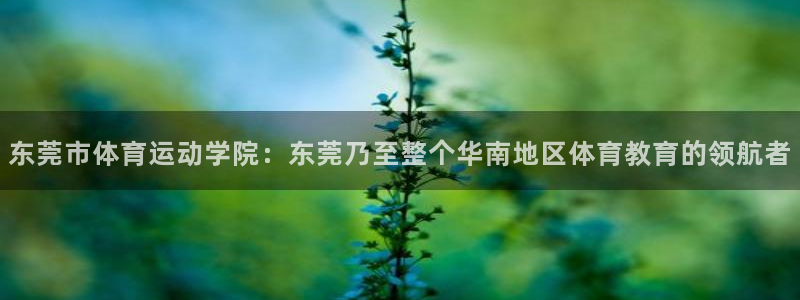 3377体育官方正版app娱乐代理怎么样：东莞市体育