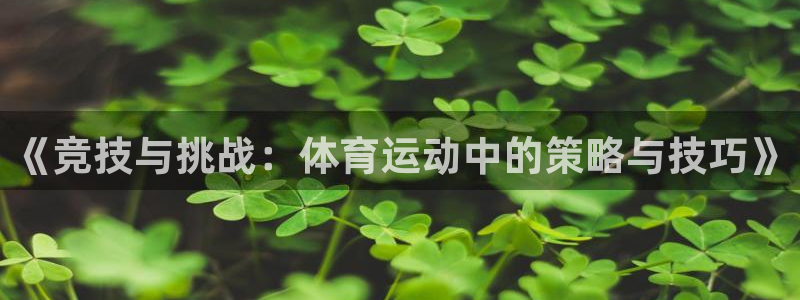 3377体育官网下载招商电话号码是多少啊：《竞技与挑