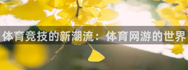 3377体育官网下载平台是正规平台吗安全吗：体育竞技