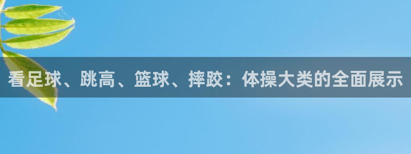 3377体育官方正版app五金厂：看足球、跳高、篮球、摔跤：