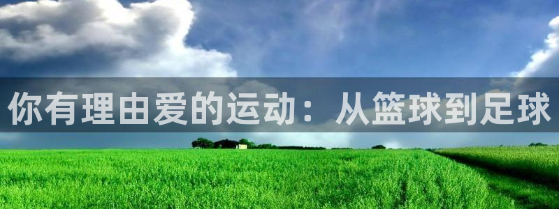 3377体育官网下载招商电话号码：你有理由爱的运动：从篮球到