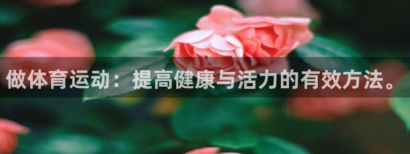 德国3377体育官方正版app集团：做体育运动：提高健康与活