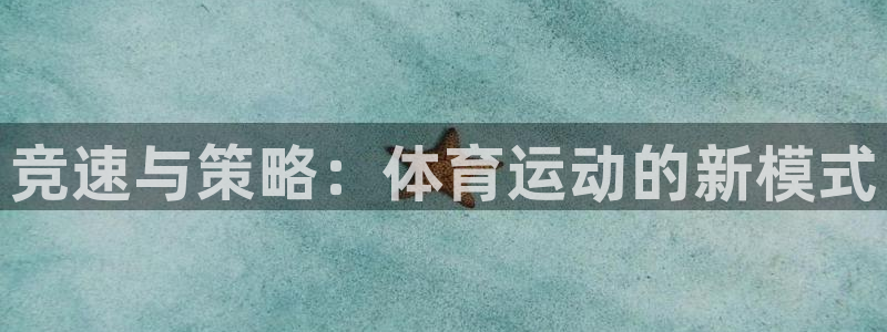 3377体育官网下载招商电话号码查询是多少：竞速与策