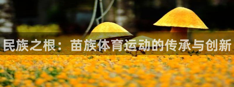 3377体育官方正版app娱乐下载：民族之根：苗族体