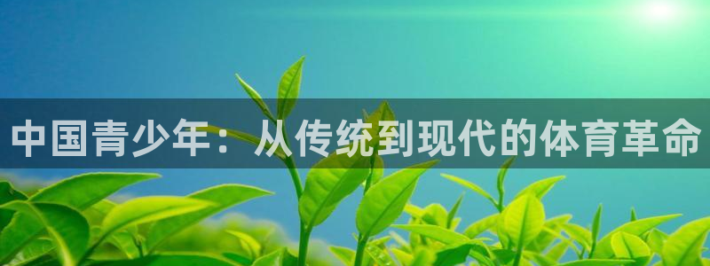 3377体育官方正版app娱乐下载：中国青少年：从传