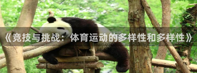 3377体育官方正版app官方：《竞技与挑战：体育运