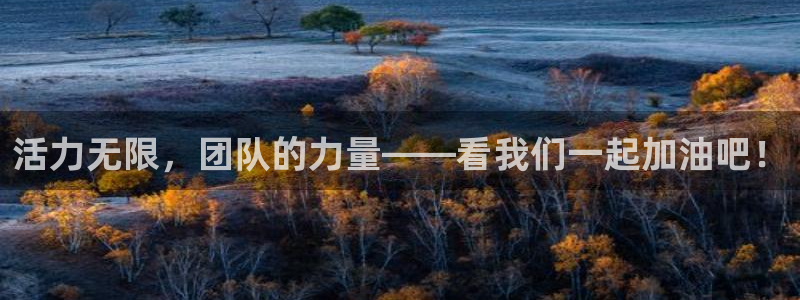 3377体育官网下载招商电话：活力无限，团队的力量—