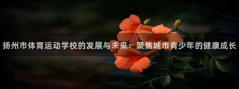 3377体育官方正版app官方：扬州市体育运动学校的