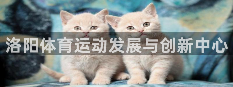 3377体育官方正版app神州：洛阳体育运动发展与创