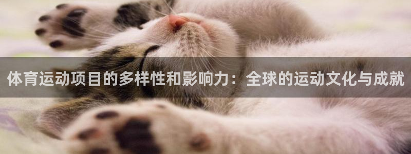 3377体育官网下载平台注册流程图：体育运动项目的多样性和影