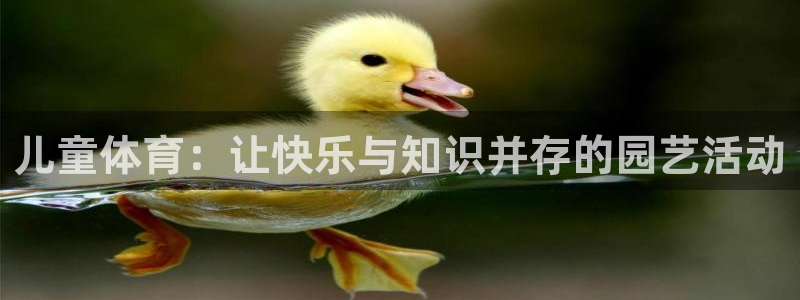 3377体育被国家取消了吗为什么：儿