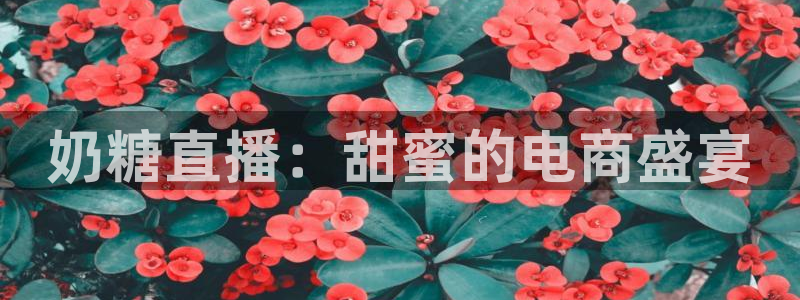 小九的视频：奶糖直播：甜蜜的电商盛宴