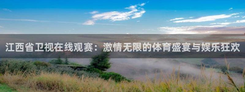 小九体育直播在线观看免费高清：江西省卫视在线观赛：激情无限的体育盛宴与娱乐狂欢