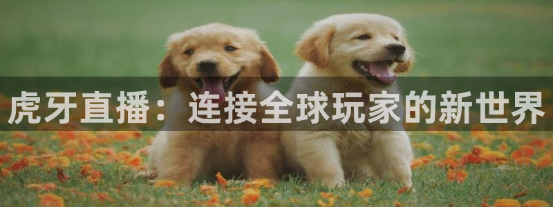nba在线直播免费观看直播小九直播：虎牙直播：连接全球玩家的新世界