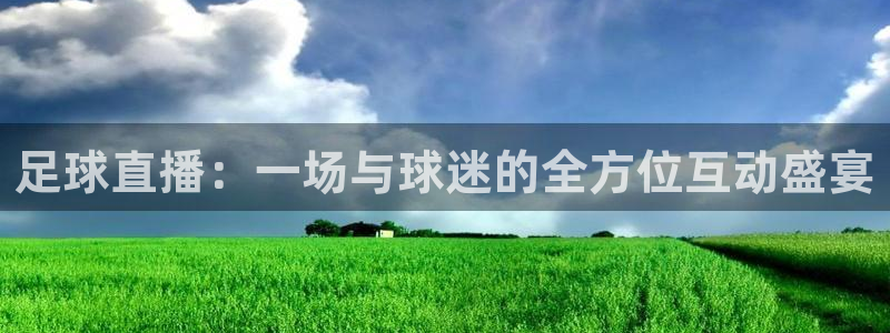 小九在哪直播：足球直播：一场与球迷的全方位互动盛宴