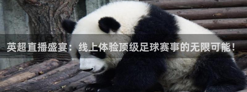 足球免费直播高清直播小九直播：英超直播盛宴：线上体验顶级足球赛事的无限可能！
