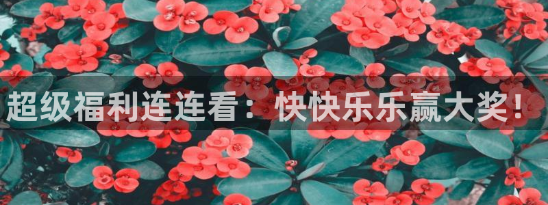 足球直播小九：超级福利连连看：快快乐乐赢大奖！