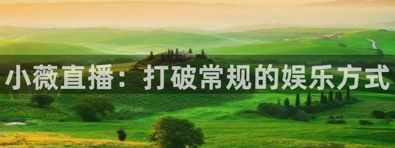 足球小九直播在线观看：小薇直播：打破常规的娱乐方式