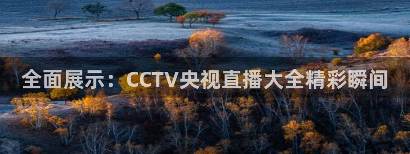 nba在线直播免费观看直播小九：全面展示：CCTV央视直播大全精彩瞬间