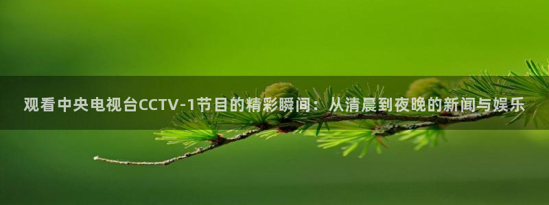 nba在线直播免费观看直播小九：观看中央电视台CCTV-1节目的精彩瞬间：从清晨到夜晚的新闻与娱乐