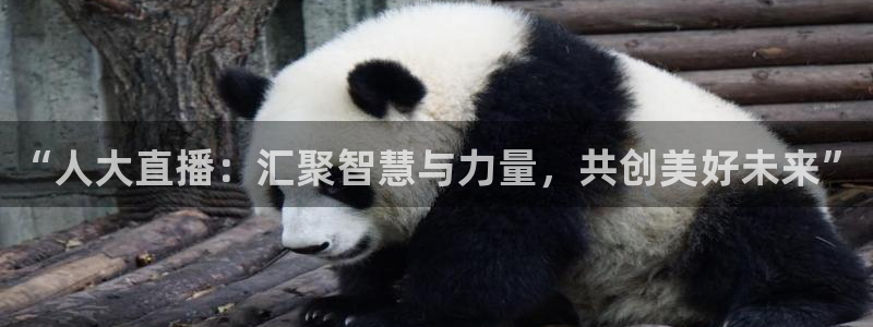 nba直播小九：“人大直播：汇聚智慧与力量，共创美好未来”