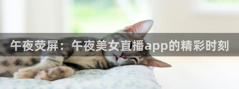 nba直播免费观看直播在线高清小九直播：午夜荧屏：午夜美女直播app的精彩时刻