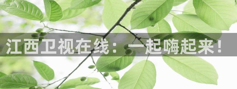 小九直播nba免费观看：江西卫视在线：一起嗨起来！